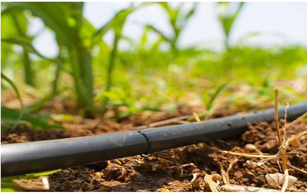 تصویر 1 از شیلنگ آبیاری کشاورزی سبک وزن با جابه جایی آسان